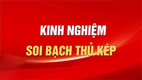 Các dự đoán bạch thủ lô kép chính xác 1 3 bước dự đoán bạch thủ lô kép dành cho người chơi mới