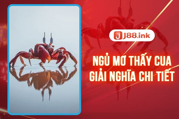 Ngủ mơ thấy cua - Giải mã ý nghĩa chi tiết nhất 1 mo thay cua