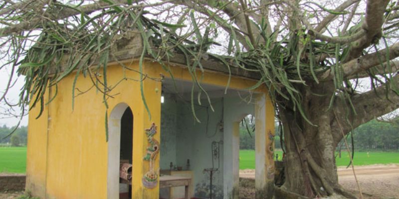 Xin số Thàn Tài Thổ Địa tại miếu hoang Xin số Thàn Tài Thổ Địa tại miếu hoang